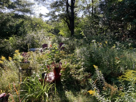 IMG_1300.jpg, janv. 2021