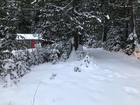 IMG_7729.JPG, janv. 2021